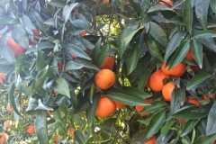 1_PHOTO-2024-09-23-13-53-05